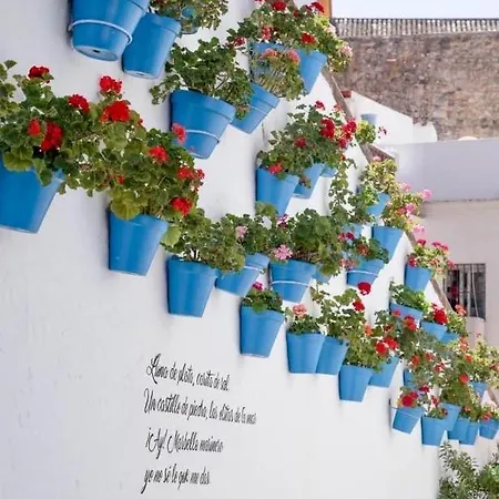 Jardines Del Mar,penthouse Elisabeth Appartement